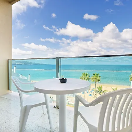 Bull Reina Isabel & Las Palmas de Gran Canaria