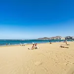 Bull Reina Isabel & Las Palmas de Gran Canaria