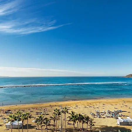Bull Reina Isabel & Las Palmas de Gran Canaria